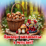 Проведи воскресенье с пользой