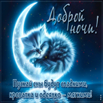 Пускай сны будут сладкими! Доброй ночи