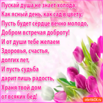 Пускай душа не знает холода. Добрых мыслей