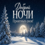 Пусть эта морозная ночь подарит отдых, ясные мысли и красивое зимнее настроение