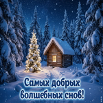 Пусть эта ночь будет мягкой, снежной и по-настоящему красивой.