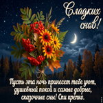 Пусть эта ночь принесет тебе уют, душевный покой и добрые сказочные сны!