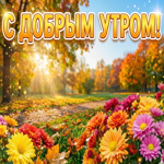 Пусть это осеннее утро подарит спокойствие и красивые мысли.