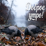 Пусть это осеннее утро принесёт тебе ясные мысли