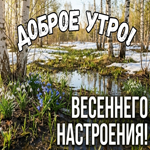 Пусть это утро принесёт новые силы, гармонию и прекрасное настроение.