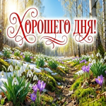 Пусть этот день подарит тебе радость и вдохновение!