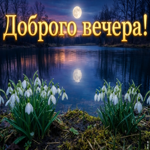 Пусть этот вечер подарит спокойствие, лёгкость и приятные мысли.