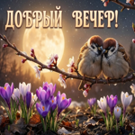 Пусть этот весенний вечер подарит красивые мысли, спокойствие и хорошее настроение.