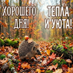 Пусть каждый час этого дня радует тебя