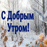 Пусть морозное утро принесёт спокойствие, гармонию и прекрасное настроение.