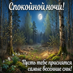 Пусть ночь будет доброй и тихой