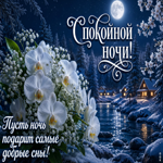 Пусть ночь подарит самые добрые снв