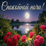 Пусть ночь подарит сладкие сны