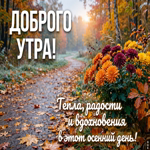 Пусть осеннее утро будет красивым началом чего-то хорошего