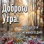 Пусть осенний воздух наполнит тебя энергией и вдохновением
