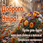 Пусть сегодняшний день будет наполнен приятными встречами и улыбками