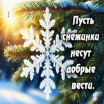 Пусть снежинки несут добрые вести