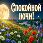 Пусть снятся светлые и тёплые сны