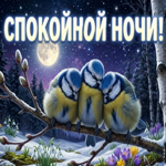 Пусть тебе приснятся чудеса