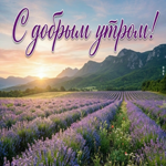 Пусть утро будет лёгким, как ветер.