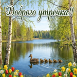 Доброе утро! Пусть день начнётся с приятных мелочей