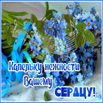 Пусть все мечты сбываются, капельку нежности сердцу