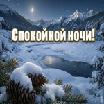 Пусть зимнее небо сохранит ваши мечты, а утро принесёт вдохновение и новые силы.