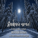 Пусть зимняя тишина подарит отдых душе и оставит только хорошие мысли до самого утра.