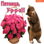 Пятница У-р-р-а