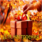 Радостная, солнечная осенняя гифка Для настроения