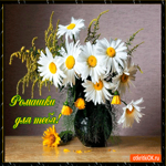 Ромашки эти для тебя