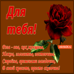 Роза для тебя. Роза, как женщина нежна и застенчива