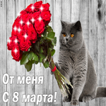 С 8 Марта. Счастья и покоя в душе