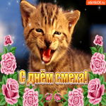 С днём смеха 1 апреля. Радости и доброты всегда