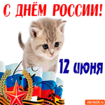 Милая открытка с котиком С Днём России 12 июня