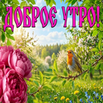 С добрым утром и тёплым солнцем!