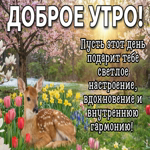 С добрым утром! Пусть сегодня всё радует