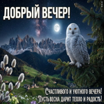 С добрым вечером! Время расслабиться и просто быть