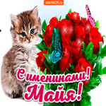 С именинами Майя