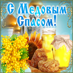 С медовым спасом. Света и радости