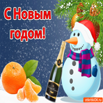 С Новым годом. Ярких впечатлений