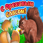 С ореховым Спасом. Радости и чудес каждый день