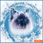 С первым снегом ребята