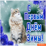 С первым днём зимы. Добрых встреч на жизненном пути