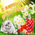 С Первым июня вас, друзья