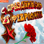 С Праздником 23 Февраля. Радости и покоя всегда рядом