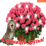 С пятницей, друзья. Пожелания от милого котика