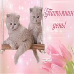 С Татьяниным Днём! Гифка с котятами