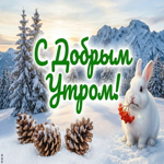 С утра — тепло, несмотря на зиму!