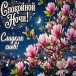 Самому прекрасному человеку желаю спокойной ночи